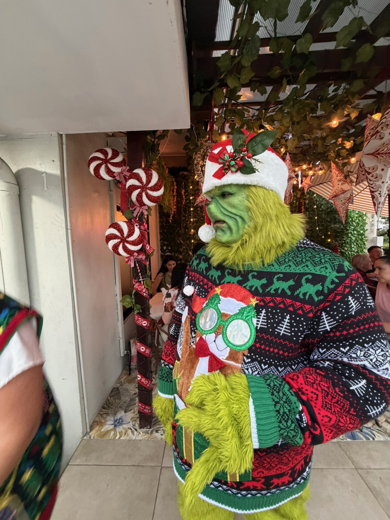 Navideños - El Grinch (2)