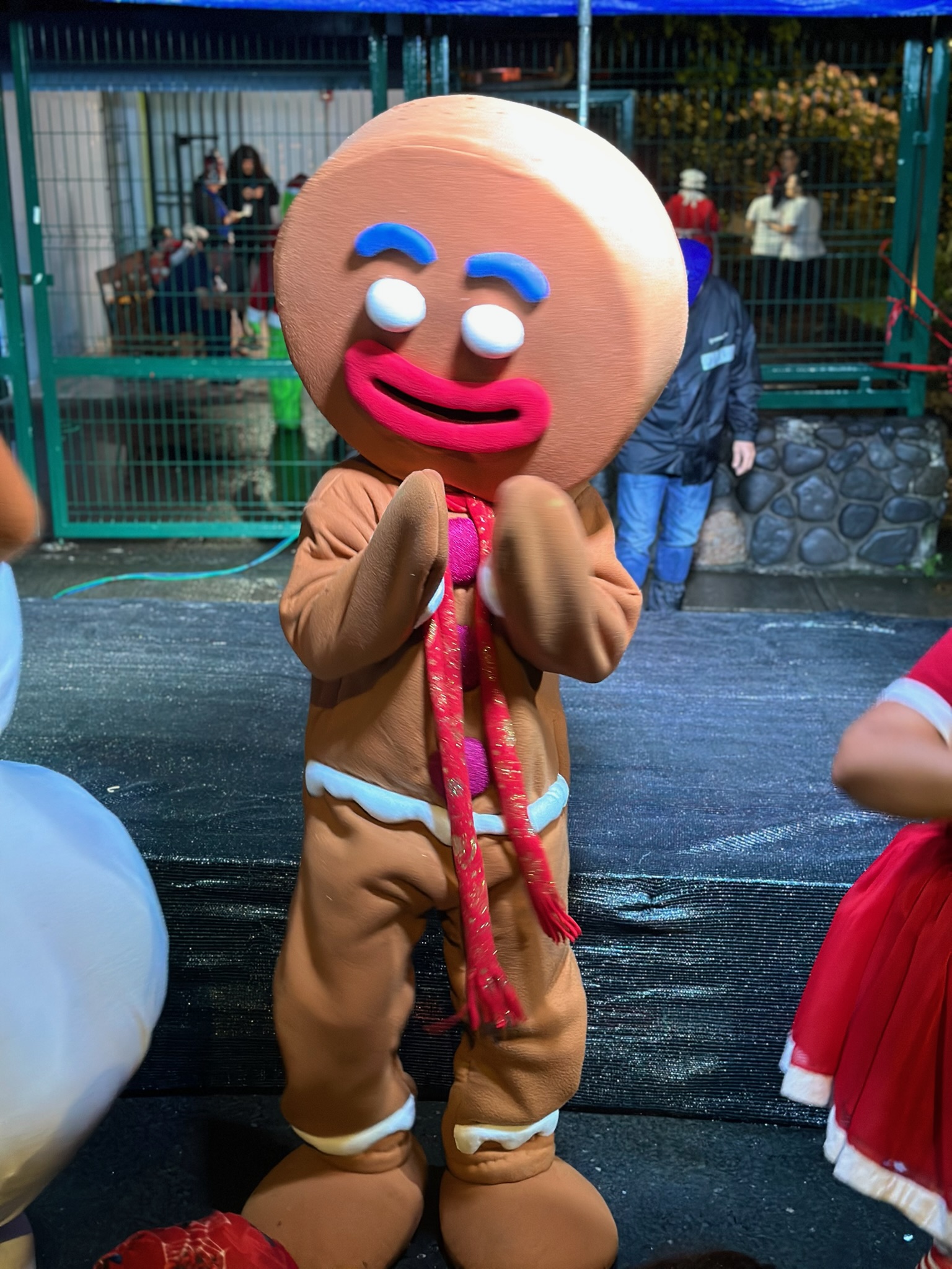 Navideños - Muñecos de galleta (2)
