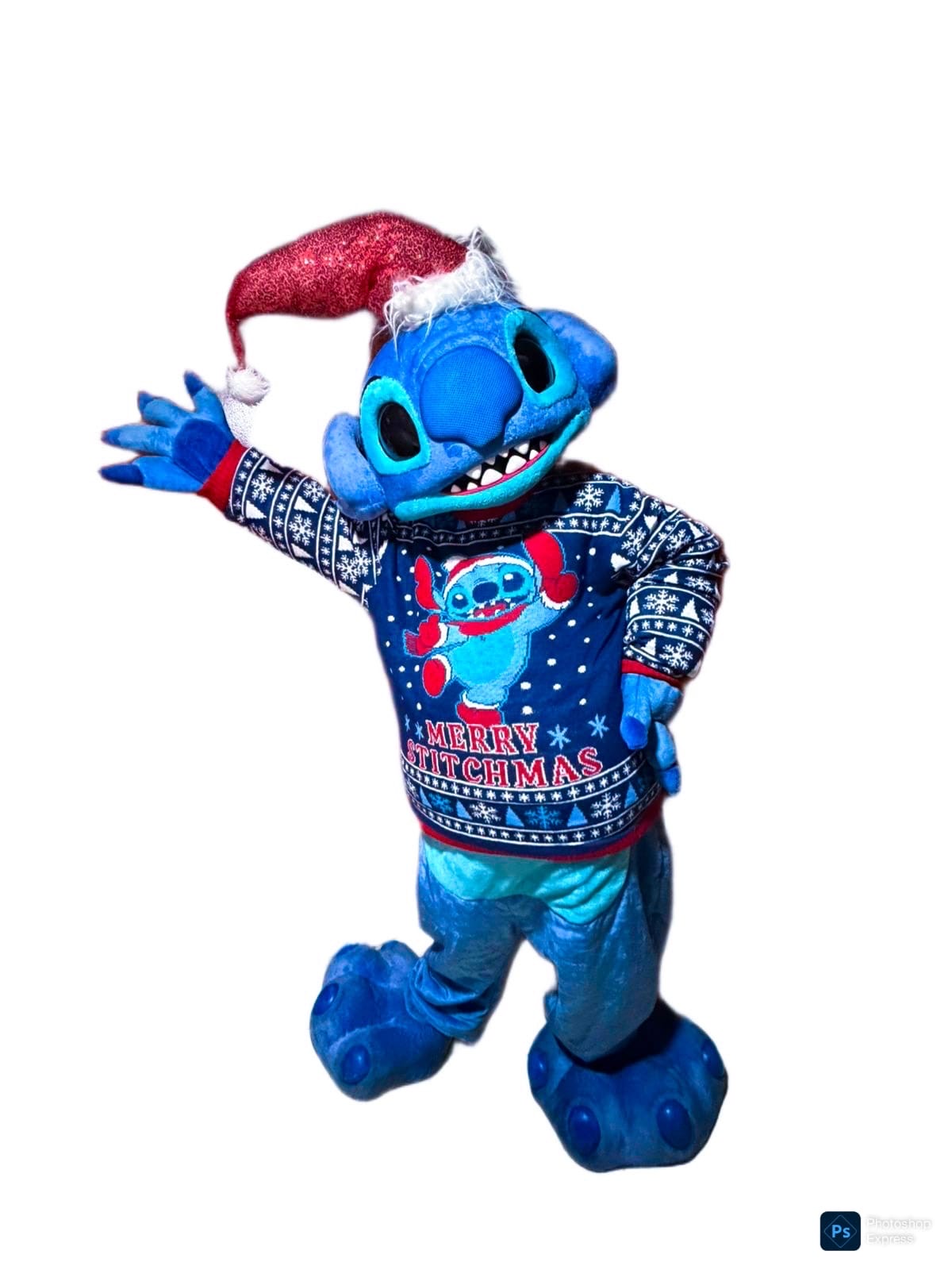 Stitch (4)
